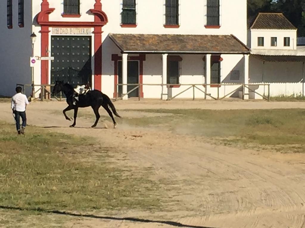 El Rocio Azul Alojamiento Rural Zewnętrze zdjęcie